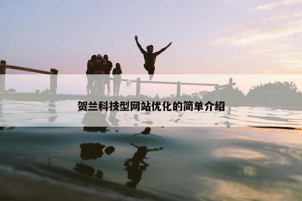 贺兰科技型网站优化的简单介绍
