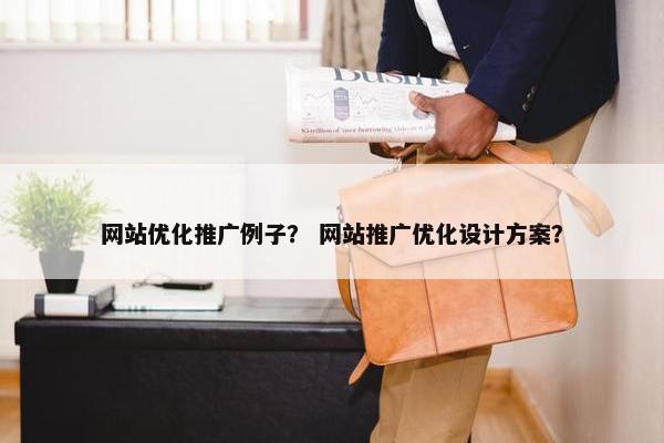 网站优化推广例子？ 网站推广优化设计方案？