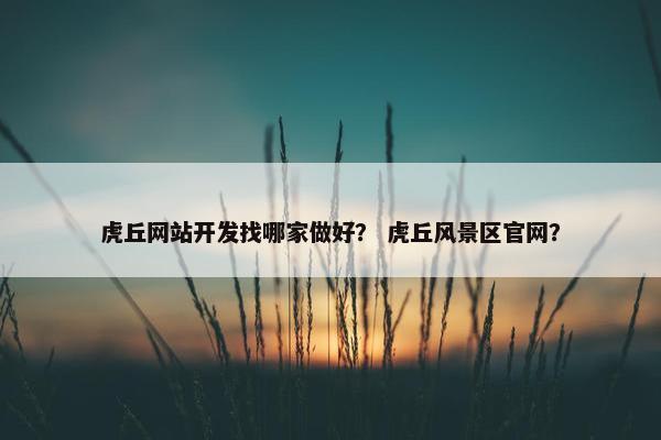 虎丘网站开发找哪家做好？ 虎丘风景区官网？