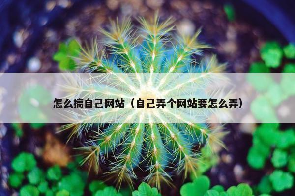 怎么搞自己网站（自己弄个网站要怎么弄）
