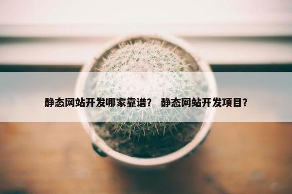 静态网站开发哪家靠谱？ 静态网站开发项目？