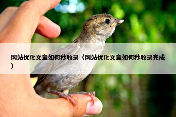 网站优化文章如何秒收录（网站优化文章如何秒收录完成）