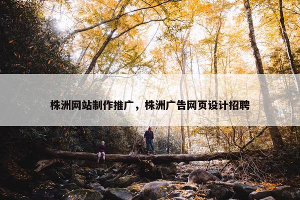 株洲网站制作推广，株洲广告网页设计招聘