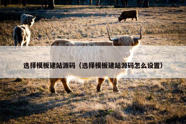 选择模板建站源码（选择模板建站源码怎么设置）