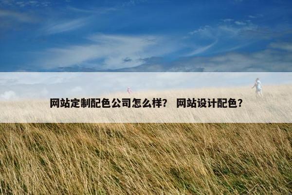 网站定制配色公司怎么样？ 网站设计配色？