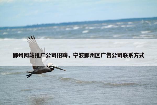 鄞州网站推广公司招聘，宁波鄞州区广告公司联系方式