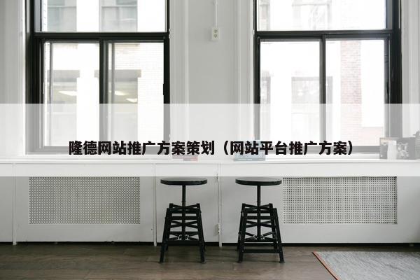 隆德网站推广方案策划（网站平台推广方案）