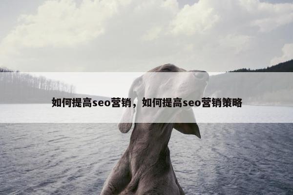 如何提高seo营销，如何提高seo营销策略