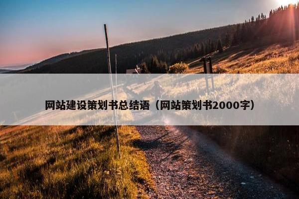 网站建设策划书总结语（网站策划书2000字）