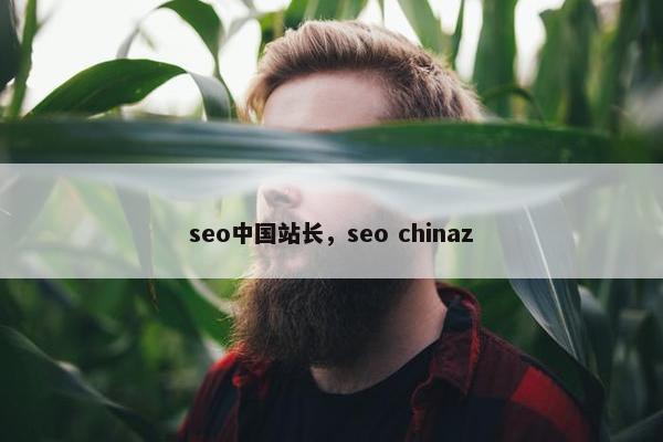 seo中国站长，seo chinaz