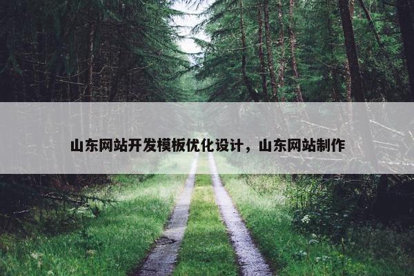 山东网站开发模板优化设计，山东网站制作