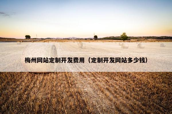 梅州网站定制开发费用（定制开发网站多少钱）