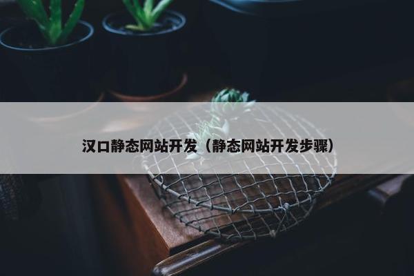 汉口静态网站开发（静态网站开发步骤）