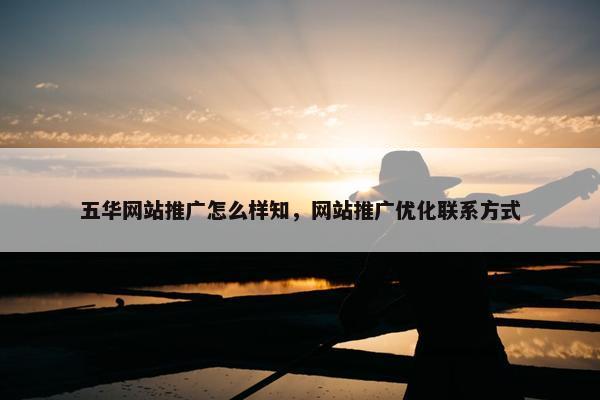 五华网站推广怎么样知，网站推广优化联系方式