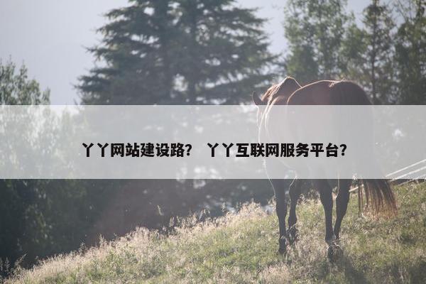 丫丫网站建设路？ 丫丫互联网服务平台？