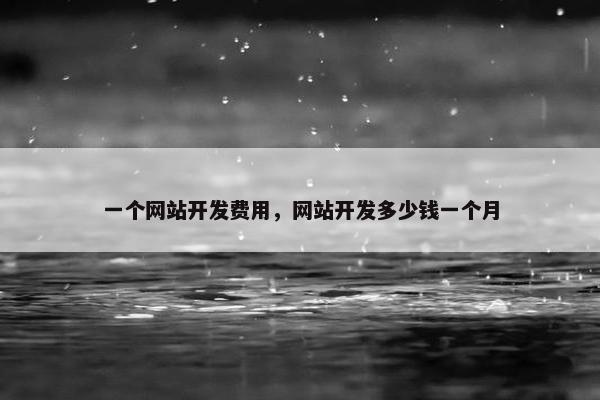 一个网站开发费用，网站开发多少钱一个月