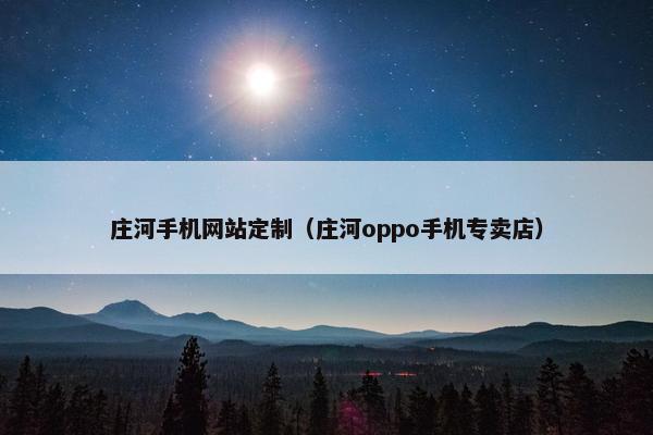 庄河手机网站定制（庄河oppo手机专卖店）
