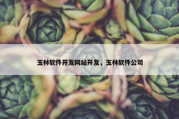 玉林软件开发网站开发，玉林软件公司