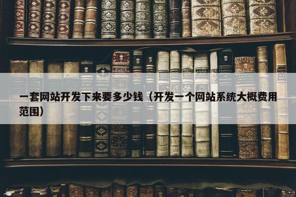 一套网站开发下来要多少钱（开发一个网站系统大概费用范围）